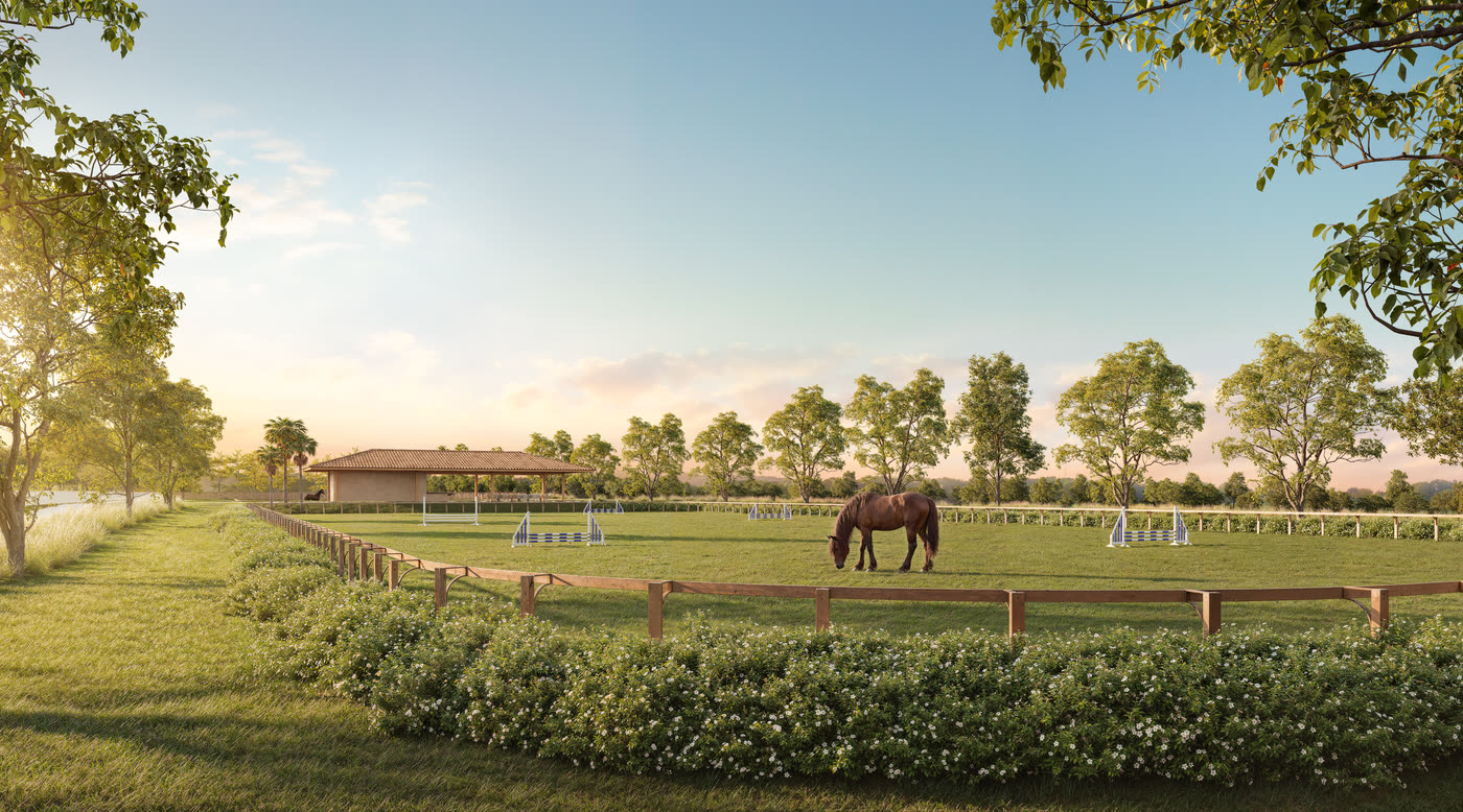 Cavalo no piquete da hípica ao entardecer